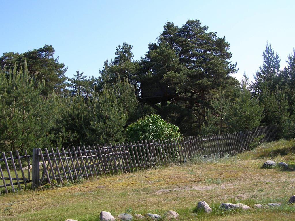 Treimani Puhkemaja Villa Rom bilde